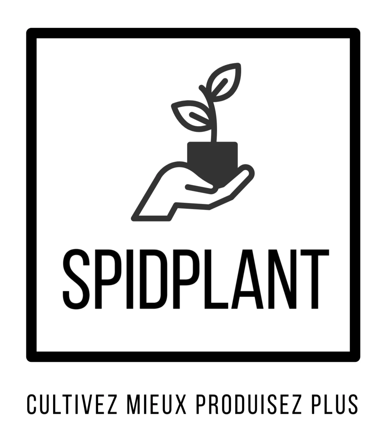 Quadratisches Spidplant-Logo