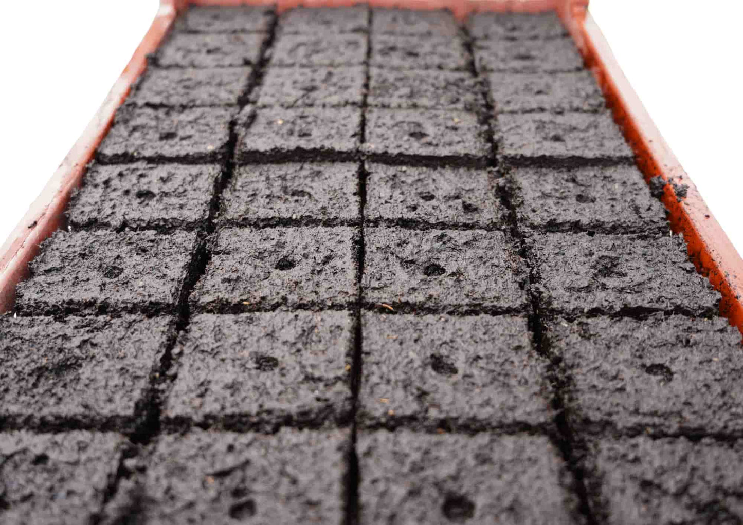 Semis maraîcher en mottes pressées