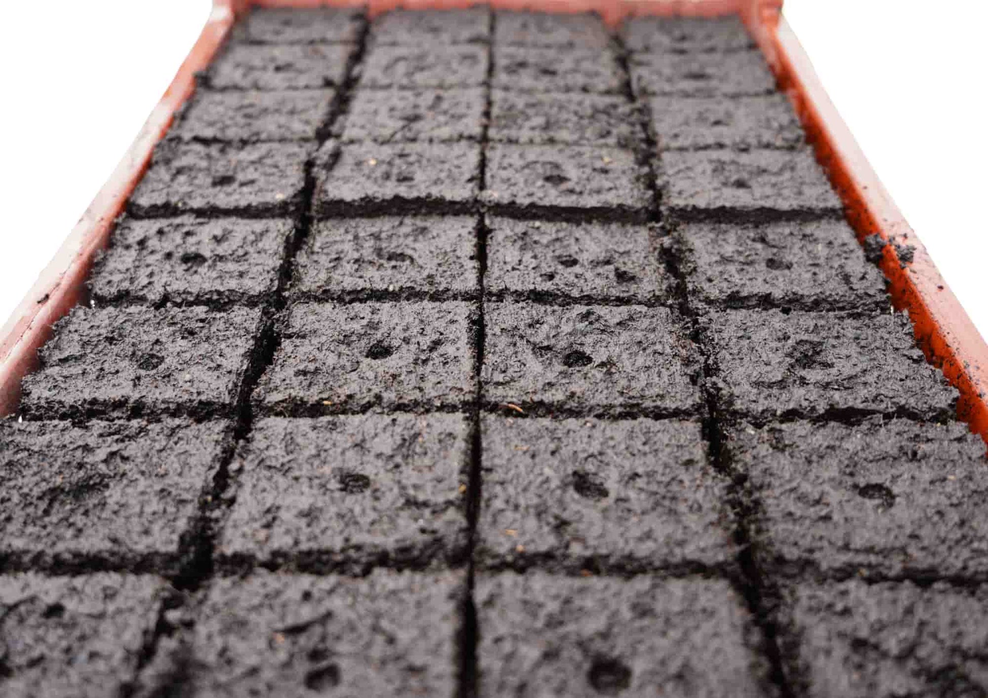 Semis maraîcher en mottes pressées