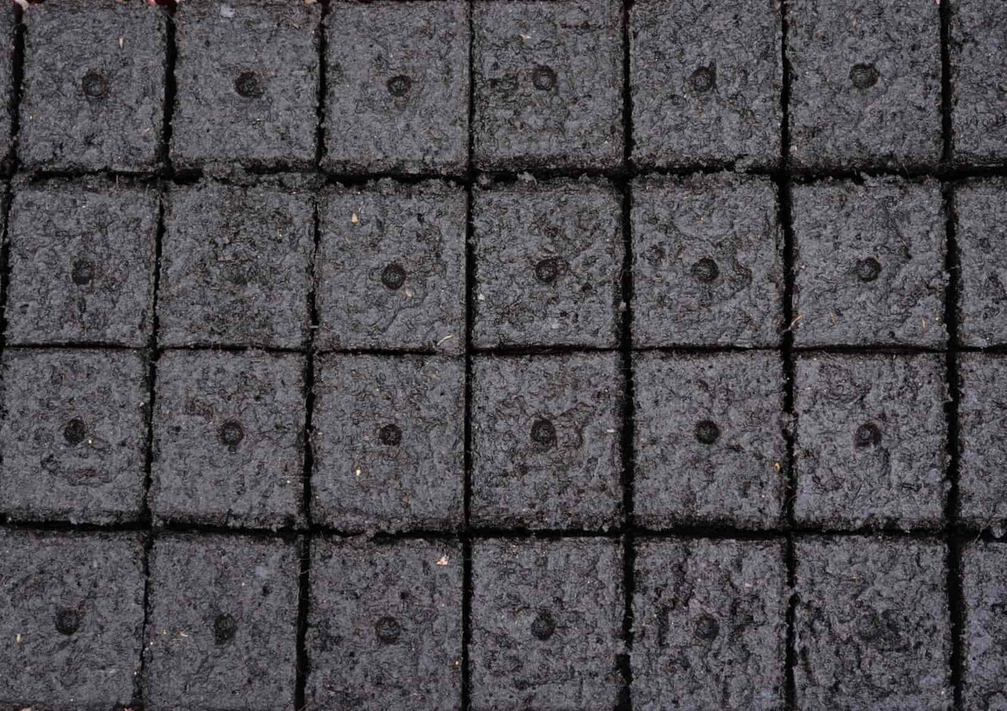 Semis maraîcher en mottes