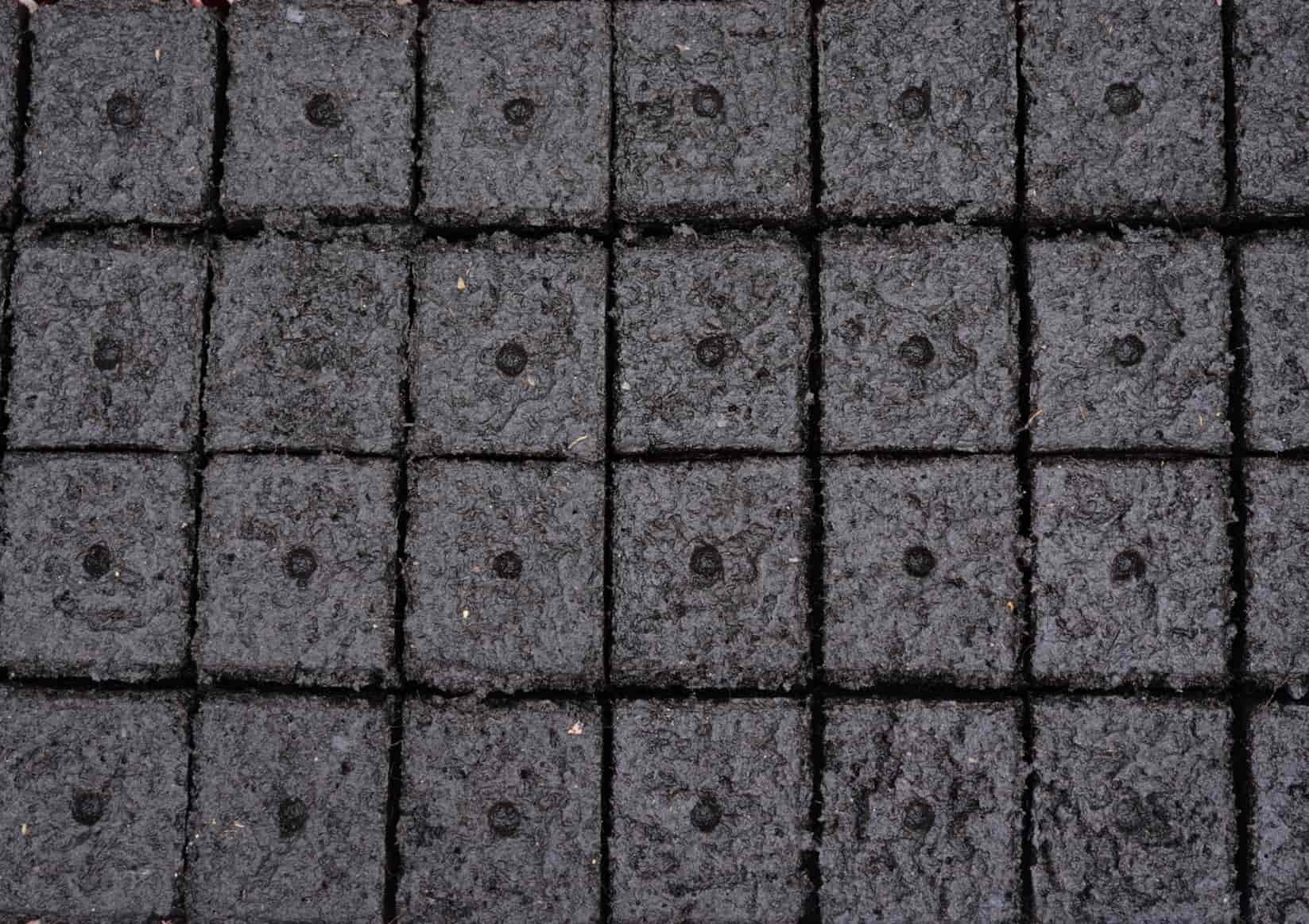 Semis maraîcher en mottes