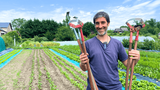 Binette oscillante ou houe colinéaire rasette ? Le bon choix pour sa microferme