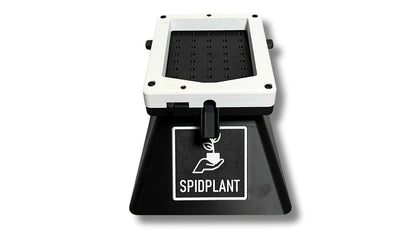 Spidsem 35